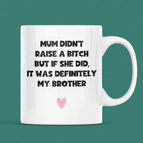 Raise A Bitch Funny Brother Mug, Family Secret Santa, Joke Christmas Gift