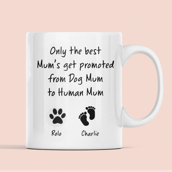 Personalised Dog Mum To Human Mum Mug, Birthday for Mum, Pregnancy Gift, Mother's Day