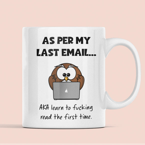 As Per My Last Email Funny Owl Mug - Secret Santa For Her, Email Office Colleague Mug